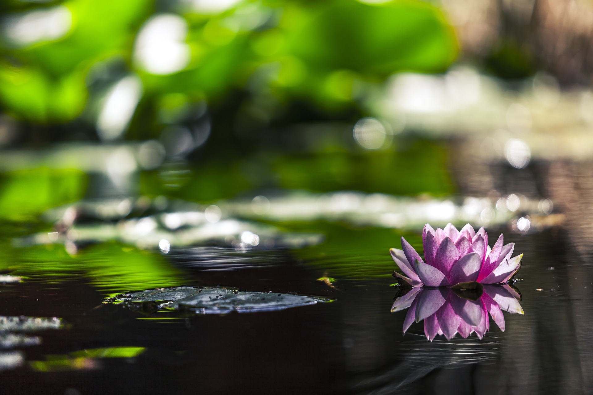 Therapeutic Hope Counseling